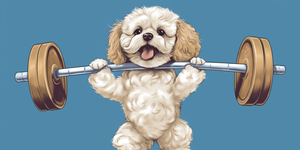 How Much Exercise Do Cavapoos Need | Singapore Puppies